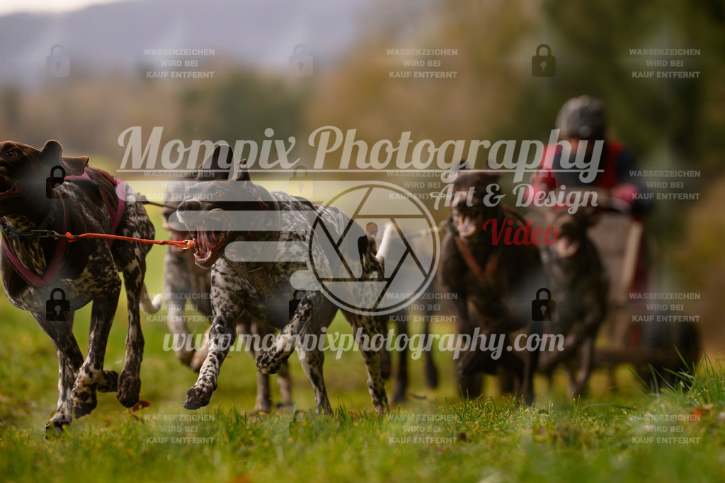MompixPhotography_2SSTSSBW_2025_SO_Kart-41 | PayLife