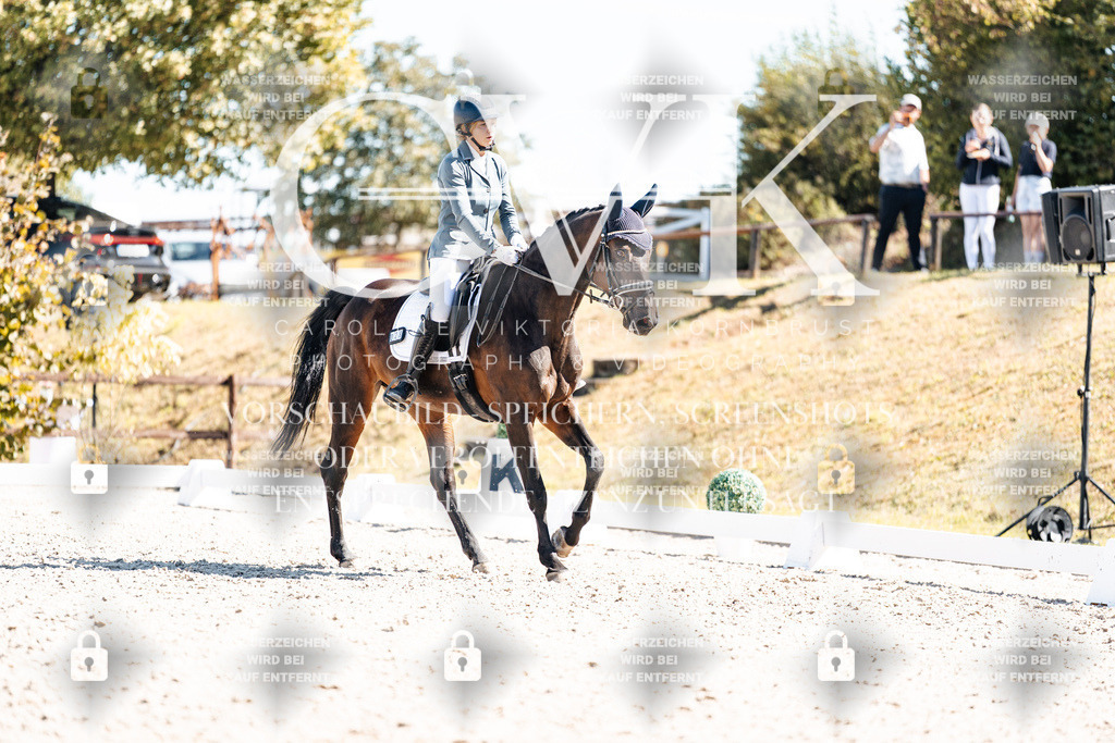 CK909818 | Turnierfotografie Pferdefotografie Trier Rheinland-Pfalz Pferdesport Reitsport Tierfotografie Sportfotografie Pferdevideo Pferdevideografie Equestrianvideography equestrianphotography  - Realisiert mit Pictrs.com