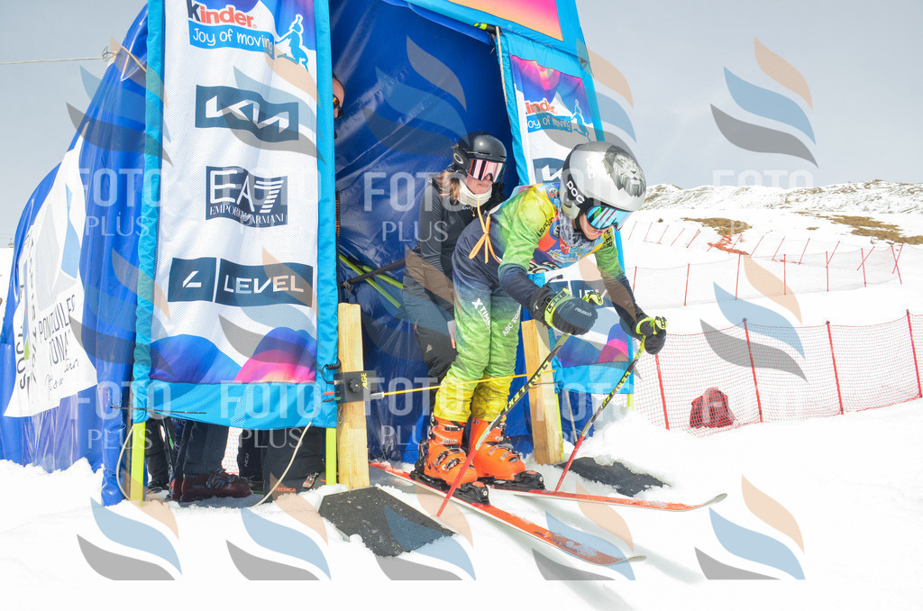 _ELE8357 | holidayphoto