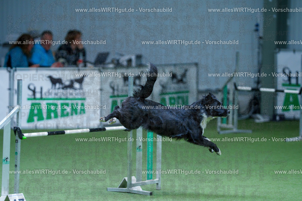 @allesWIRTHgut_Tierfotografie - www.allesWIRTHgut.de - 2604251210-7R500976 | Professionelle Tierfotografie in Mönchengladbach von Daniel Wirth (allesWIRTHgut). Liebevolle & natürliche Bilder von Hunden & Katzen für unvergessliche Erinnerungen.
