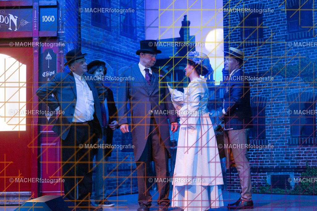 368_MFL-2025 | Portraitbilder von Regisseur; Darsteller; Techniker; Maske; Kostüme; Chor; Musiker; Bilderserie der Generalprobe und der Premierenvorstellung, Szenenbilder; Ausdrucksstudien; Bühnenüberblick; Bühnenkulissen; Pressefotos inkl. Redaktionsfoto Darstellergruppe.