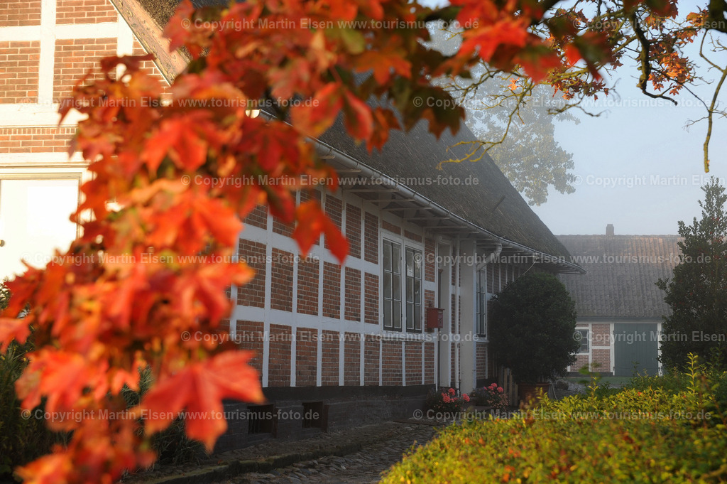 DSC_93366412 | Altes Land  - Aufnahmedatum: 27.09.2009, Aufnahmehöhe:  m, Koordinaten:  - , Bildgröße: 4256 x  2832 Pixel - Copyright 2009 by Martin Elsen, Kontakt: Tel.: +49 157 74581206, E-Mail: info@schoenes-foto.deSchlagwörter: - Realisiert mit Pictrs.com