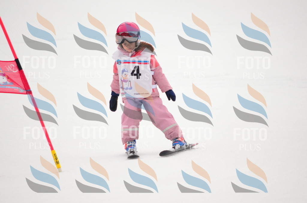 B9209 | holidayphoto