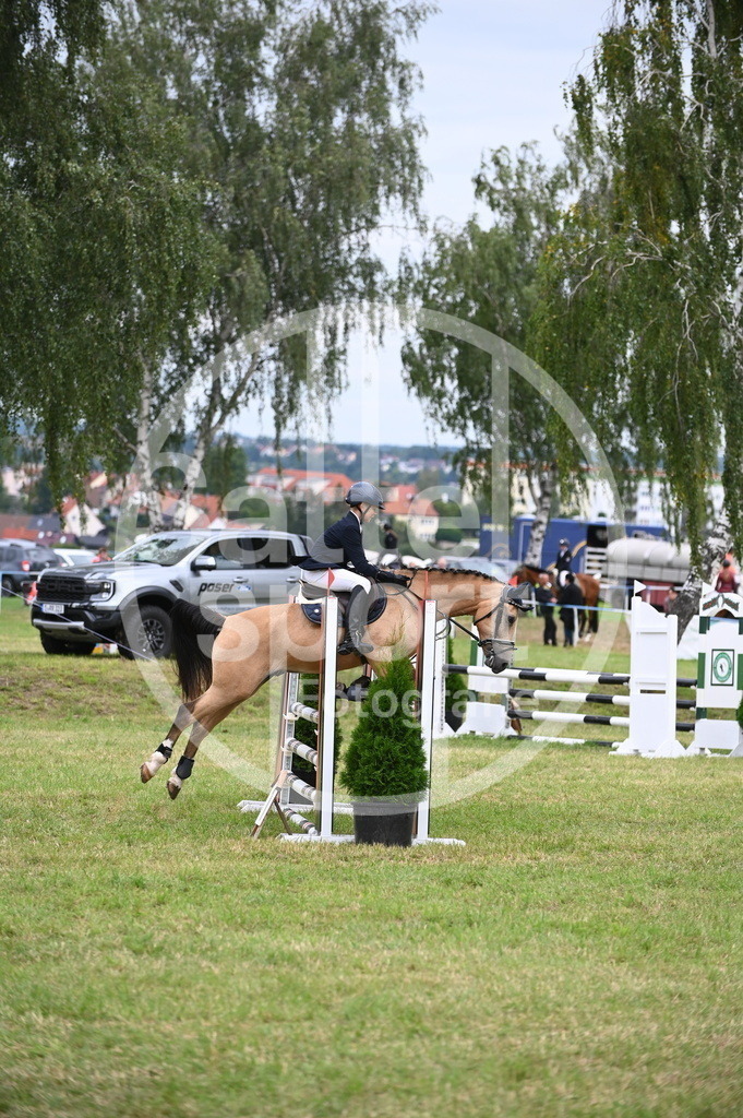 DSC_5090 | sattelsport - Realisiert mit Pictrs.com