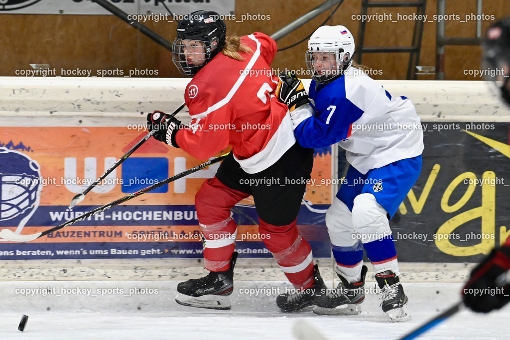 BST_3751 | hockey sports photos, Pressefotos, Sportfotos, hockey247, win 2day icehockeyleague, Handball Austria, Floorball Austria, ÖVV, Kärntner Eishockeyverband, KEHV, KFV, Kärntner Fussballverband, Österreichischer Volleyballverband, Alps Hockey League, ÖFB, 