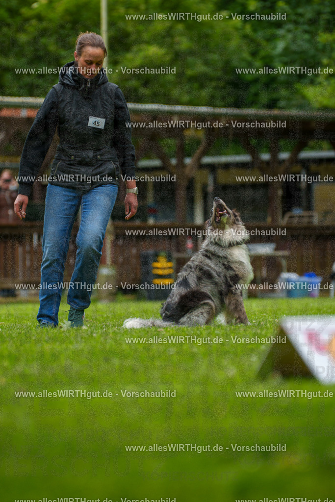 @allesWIRTHgut_Tierfotografie - www.allesWIRTHgut.de - 7R500308 | Professionelle Tierfotografie in Mönchengladbach von Daniel Wirth (allesWIRTHgut). Liebevolle & natürliche Bilder von Hunden & Katzen für unvergessliche Erinnerungen.