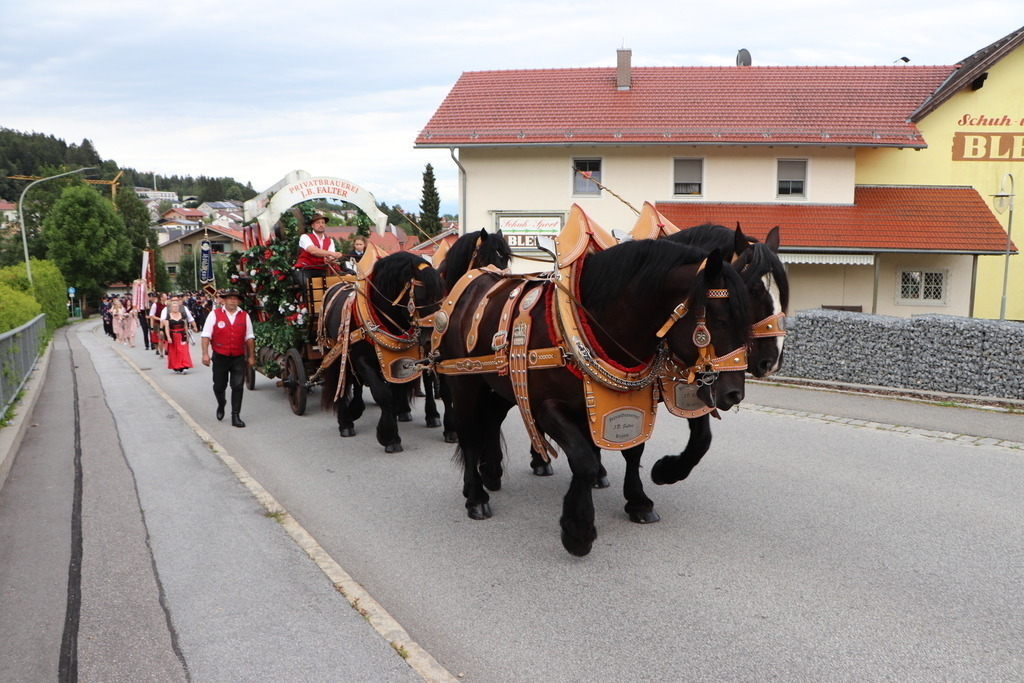 Das_Fest_150_Jahre_FFw_Hochdorf (896) | Professionelle Fotos Ihrer Veranstaltung? Pressebüro Thexterei Downloadbereich!   - Realisiert mit Pictrs.com