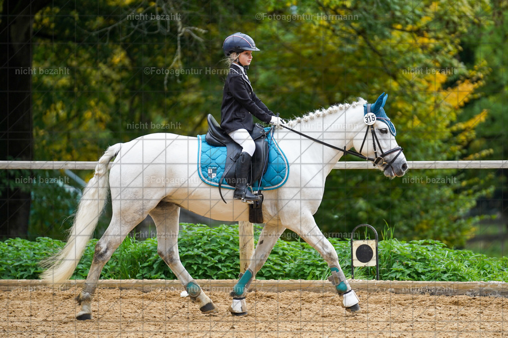 20221008-FAH01400 | Diessen am Ammersee, 2022, Dressur- und Springturnier, Reitsportbilder, Turnierfotografen Bayern, Pferdefotografen, Fotoagentur Herrmann, Turnierbilder