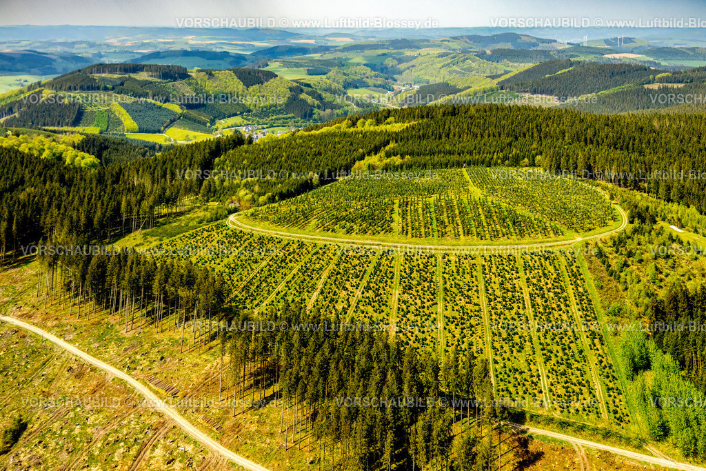 Meschede240505764 | Luftbild, Waldschonung und waldige Hügellandschaft Rarbach mit Fernsicht, Oberrarbach, Schmallenberg, Sauerland, Nordrhein-Westfalen, Deutschland