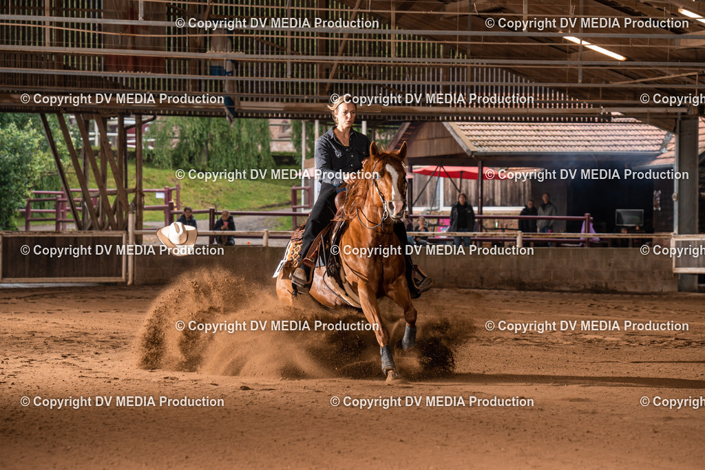 Erbach Tag 3-795 | dv-media-shop - Realisiert mit Pictrs.com