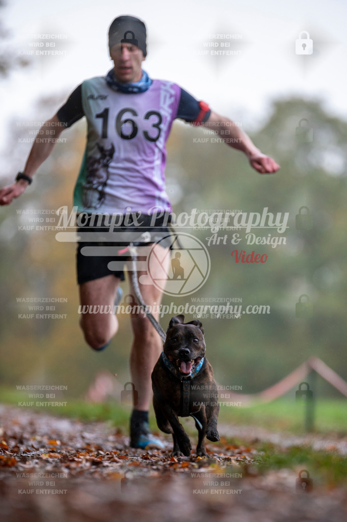 DBT_DAKM_SA_4_11_2023_Canicross-6 | PayLife