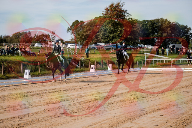 2026_10_03_Siefer-Hof_113251_Z63_19264182 | Professionelle Reitsport-, Turnier- und Eventfotografie von Robert Broda. Galerien mit ausgewählten und bearbeiteten Bildern direkt online ansehen und bestellen.
