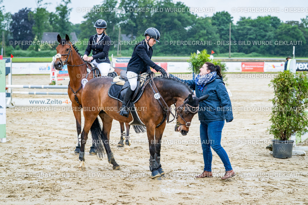 DSC01489 | Pferdegrafie