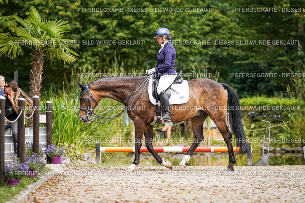 DSC02568 | Pferdegrafie