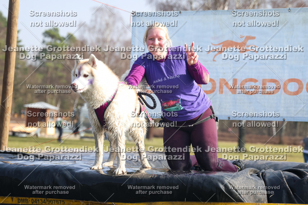 Dog Paparazzi - Strongdog North Mrz26-1580 | Dog Paparazzi Jeanette Grottendiek Fotografie & Videografie - Realisiert mit Pictrs.com