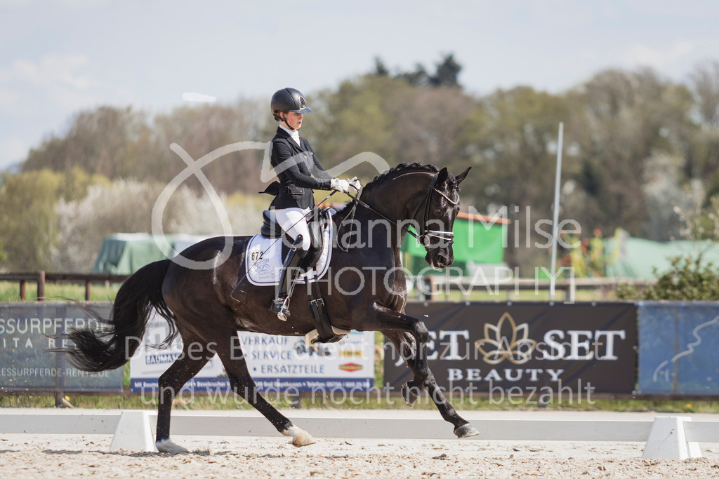 250416_Dressurpferde-L-258 | Deine schönsten Turniermomente als professionelle Fotos! Entdecke hochwertige Pferdesport-Fotografie im Online-Shop. Jetzt Fotos finden & bestellen!