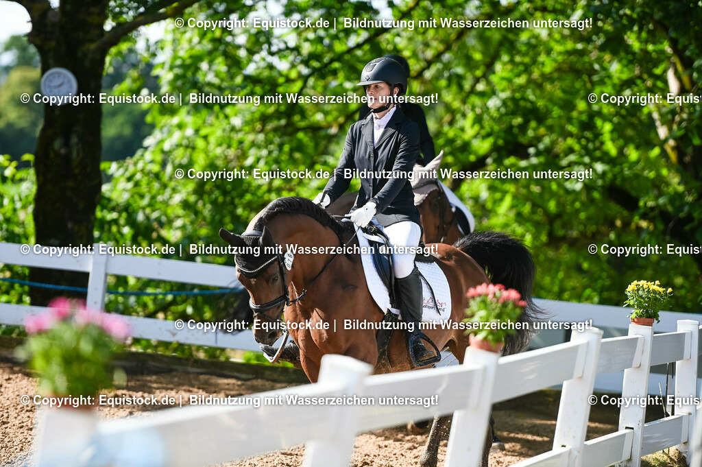20230716_04_Dressurreiterprüfung Kl.A_0121 | equistock
