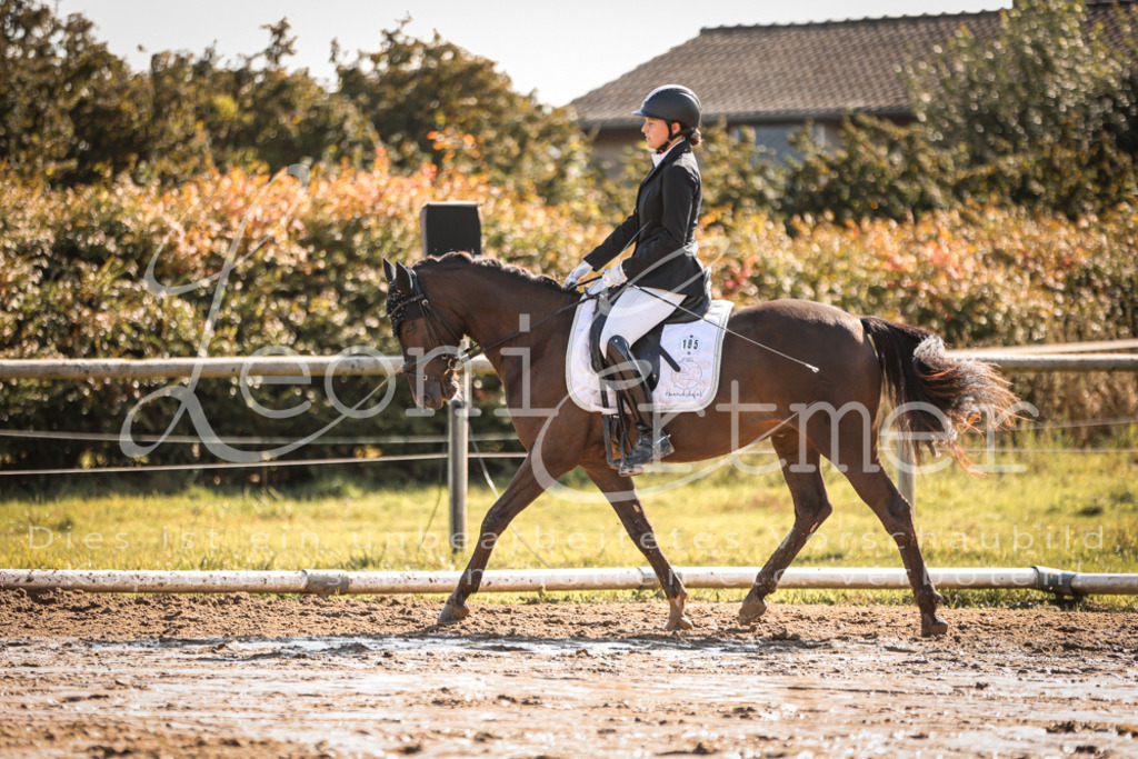 07.SoDrE00311 | Leoni Ertmer Photography - Realisiert mit Pictrs.com