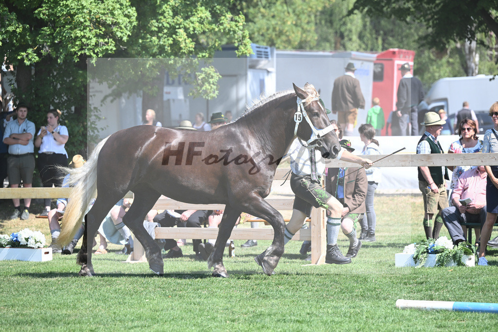 Kat-Nr. 15 Mirabell_Mayr_20230227 | hf-fotografie - Realisiert mit Pictrs.com