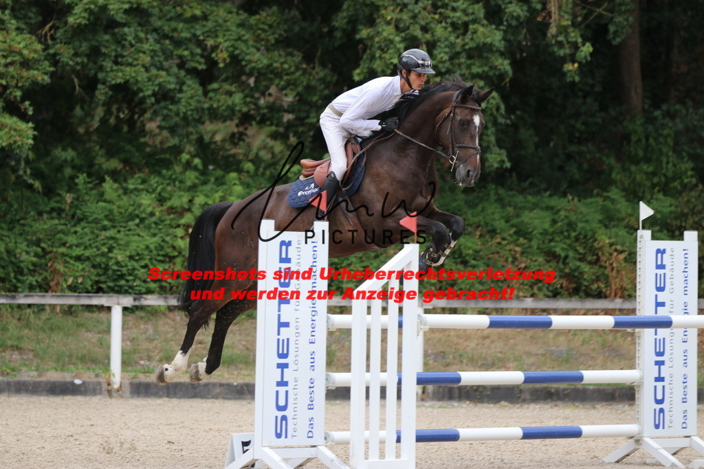 IMG_7857 | lmwpictures - Realisiert mit Pictrs.com