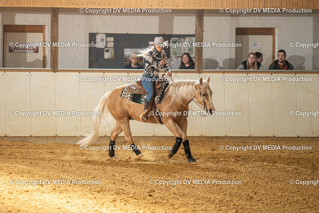 MIT01071 | dv-media-shop - Realisiert mit Pictrs.com