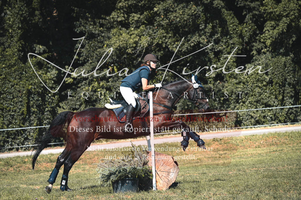 DSC_8047 | Pferde- und Turnierfotografie in Westsachsen. Pferdeportraits, Auftragszeichnungen und intuitive Kunst.