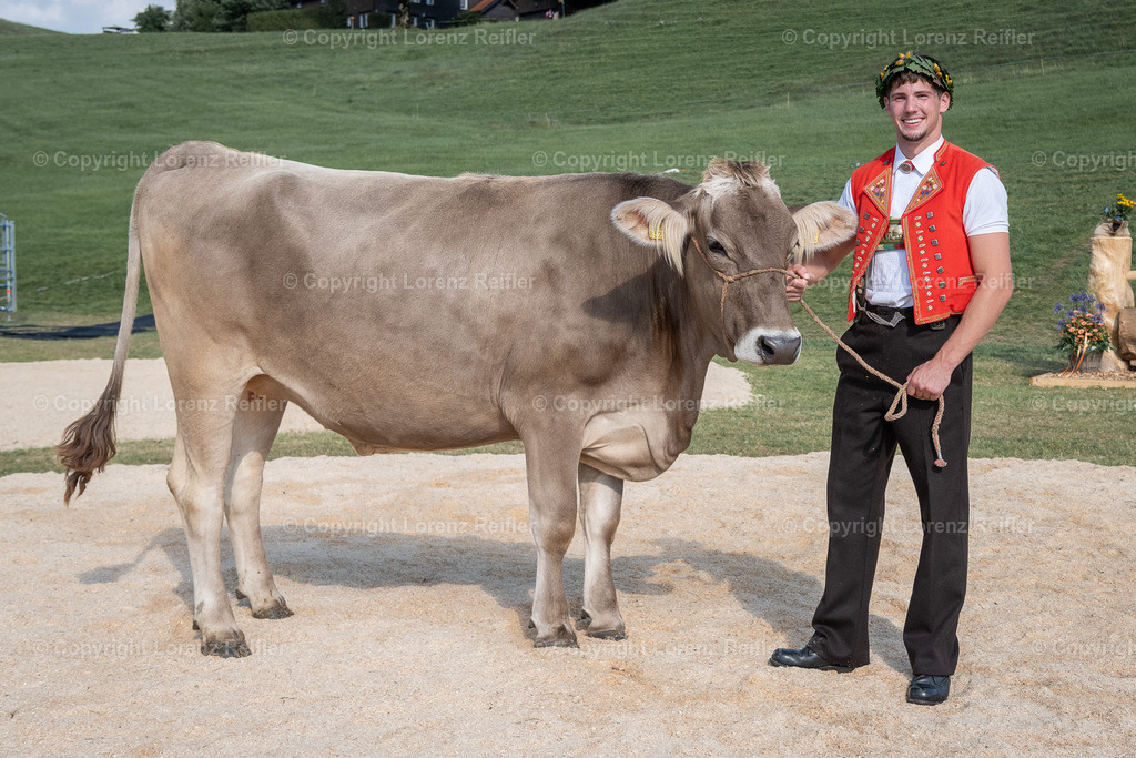 Schwingen -  AppKant 2025 | Gais, 13.7.25, Schwingen - AppKant.