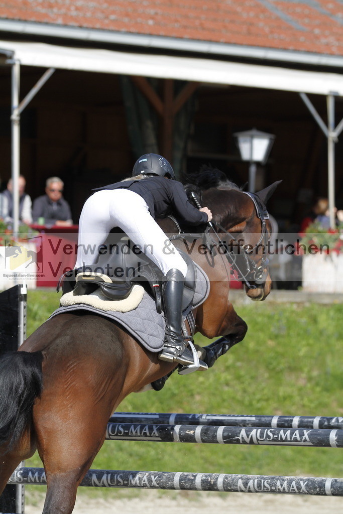 _MG_9115 | equestrian-live-com