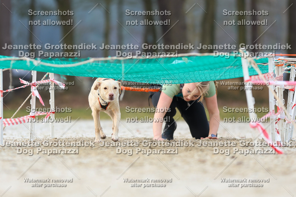 Dog Paparazzi - Strongdog North Mrz26-3765 | Dog Paparazzi Jeanette Grottendiek Fotografie & Videografie - Realisiert mit Pictrs.com