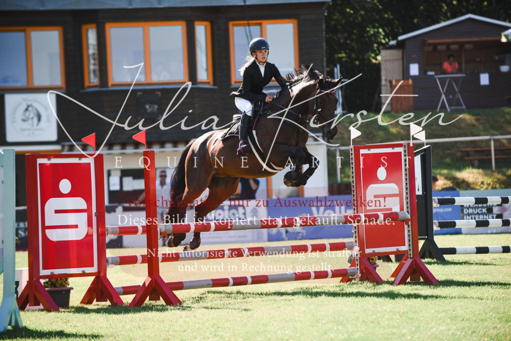 DSC_2387 | Pferde- und Turnierfotografie in Westsachsen. Pferdeportraits, Auftragszeichnungen und intuitive Kunst.