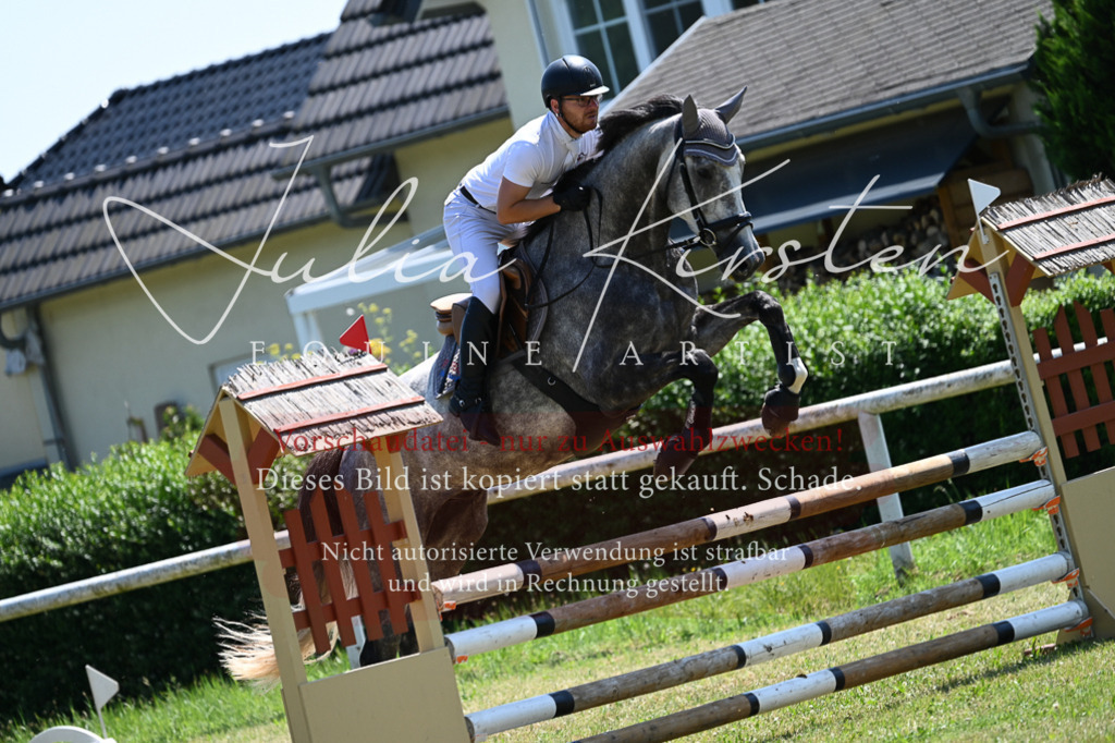 DSC_0558 | Pferde- und Turnierfotografie in Westsachsen. Pferdeportraits, Auftragszeichnungen und intuitive Kunst.