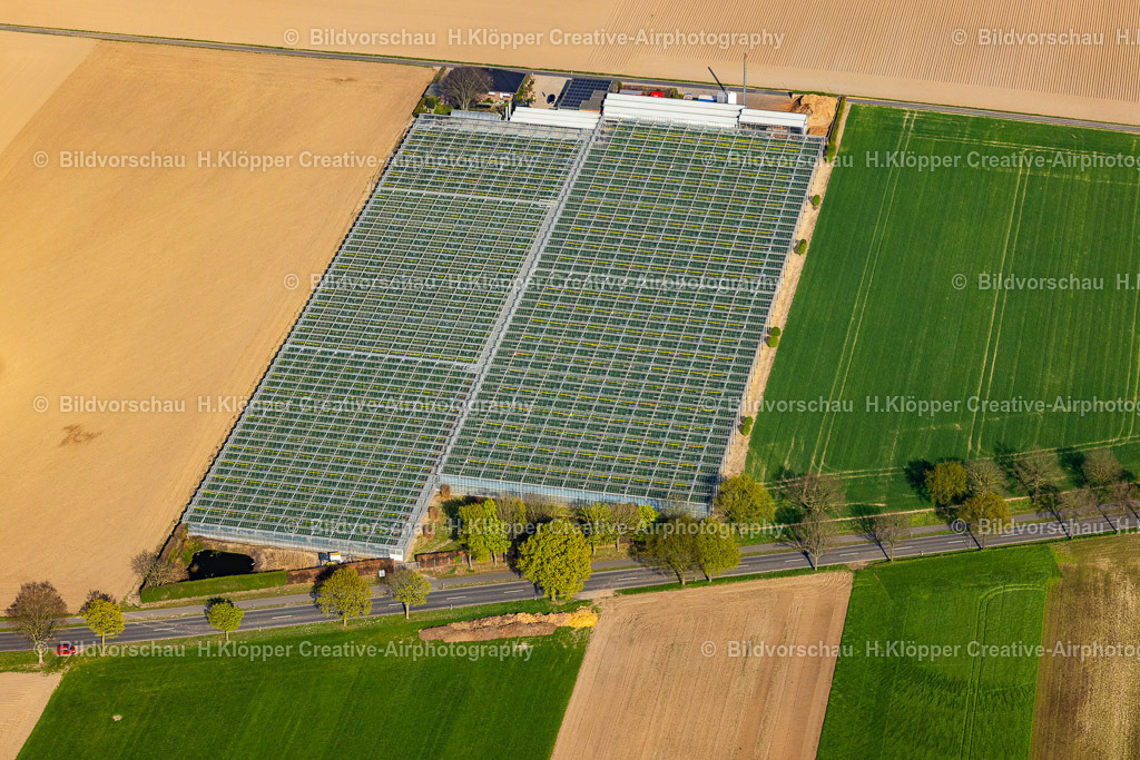 Luftbilder Nettetal-0023 | Luftaufnahme Gewächshaus - Anlagen des Gartenbaubetrieb "BRUNEN Garten- und Landschaftsbau " in Nettetal im Bundesland Nordrhein-Westfalen, Deutschland - Realisiert mit Pictrs.com