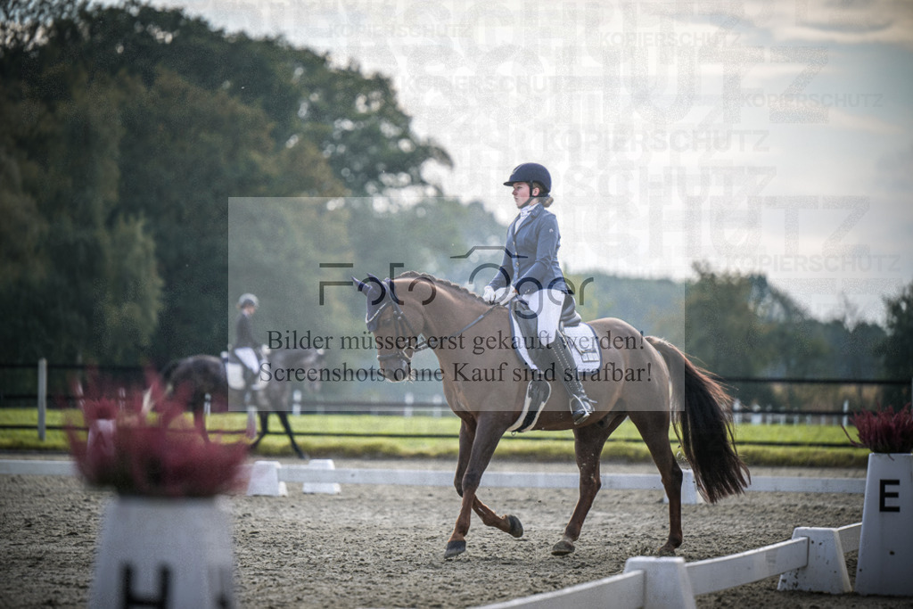 DOS_B172 | Entdecke hochwertige Reitturnierfotos von Foto Oger. Professionell, emotional und authentisch – jetzt Lieblingsmomente im Shop bestellen.Deutschlandweite Turnierfotografie. - Realisiert mit Pictrs.com