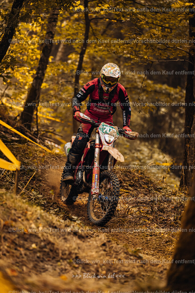 E68A3913 | blick_win_kel