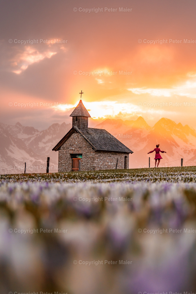 Glocknerblick-469 | piet_flosse