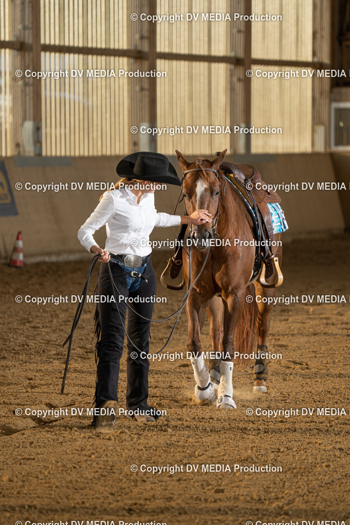 LAU02015 | dv-media-shop - Realisiert mit Pictrs.com