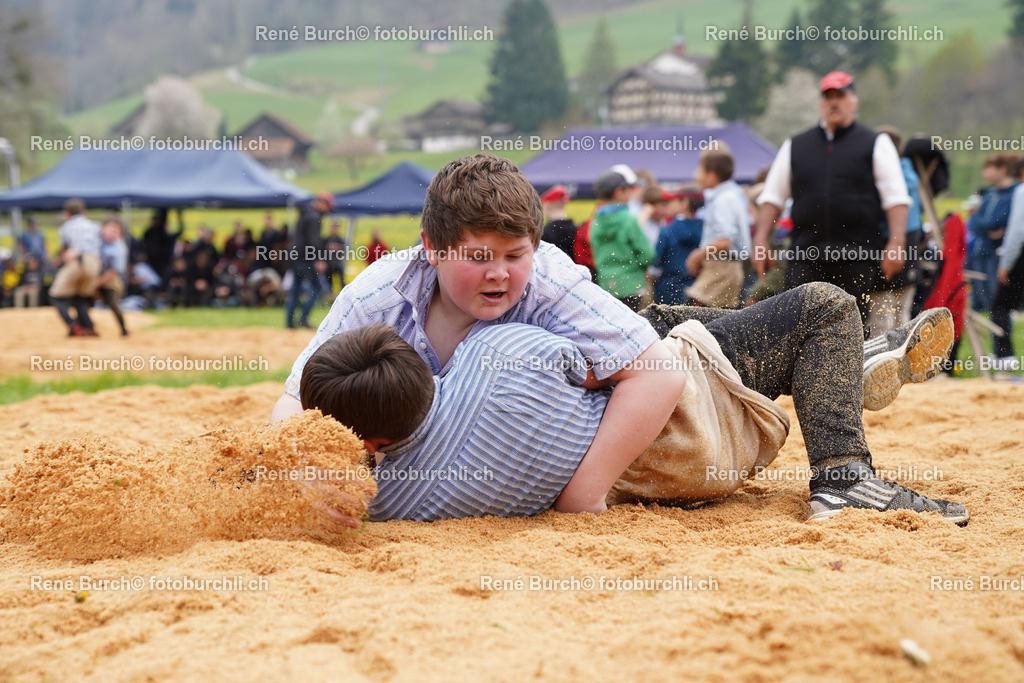 20220423-DSC03515 (2) | René Burch leidenschaftlicher Fotograf aus Kerns in Obwalden.  Hier finden sie Sport, Landschaft und Natur Fotografie.
 - Realisiert mit Pictrs.com