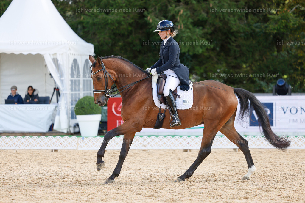 09_2-001-DRESSUR  S_  -StoibPH-5814 | working equitationturnier fotograf videograf stoibphotography marixx film working equitation deutschland reitsport turnierfotografie eventfotografie equestrian events