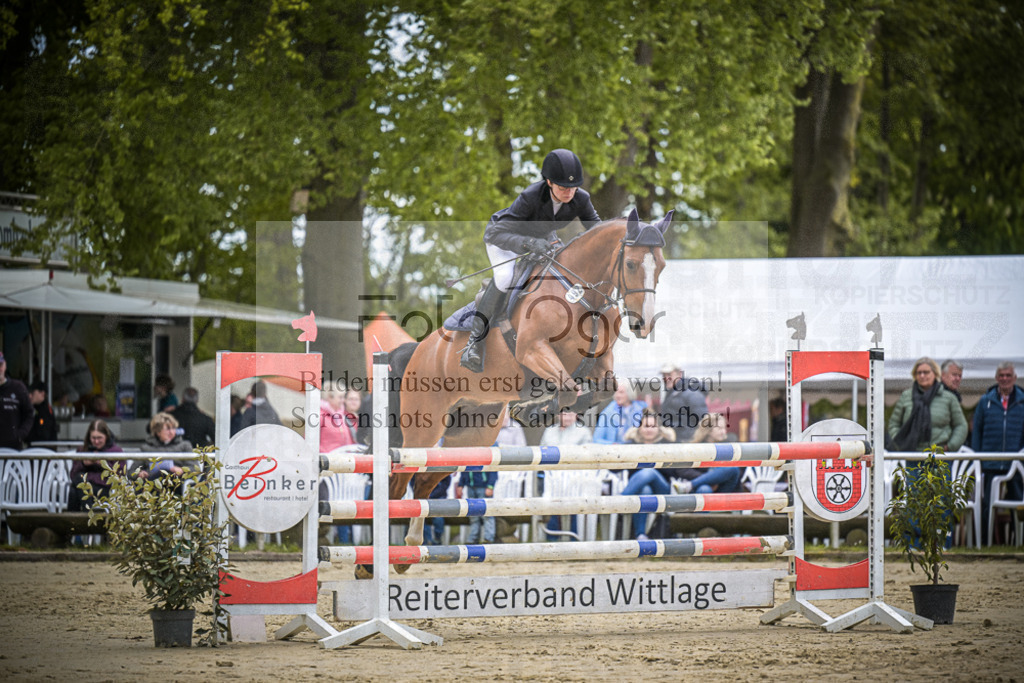 DOS_7188 | Entdecke hochwertige Reitturnierfotos von Foto Oger. Professionell, emotional und authentisch – jetzt Lieblingsmomente im Shop bestellen.Deutschlandweite Turnierfotografie. - Realisiert mit Pictrs.com