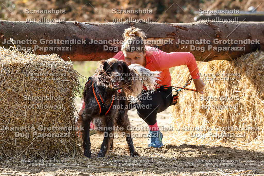 Dog Paparazzi - Strongdog 10-25-5910 | Dog Paparazzi Jeanette Grottendiek Fotografie & Videografie - Realisiert mit Pictrs.com