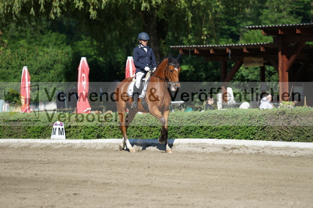 DSC04251 | equestrian-live-com