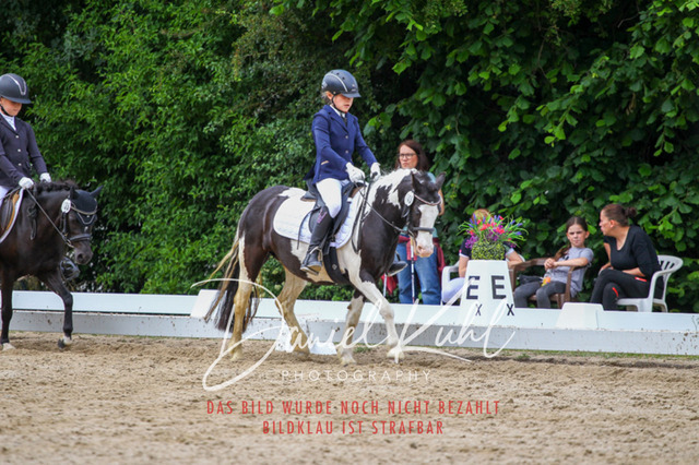 DKP46285 | Turnierfotos kaufen im Webshop von Daniel Kuhl Photography – entdecke professionelle Reitsportfotos aus Turnieren & Events. Hochwertige Turnierbilder online bestellen & sichern. Jetzt Fotos von Reitsportturnieren kaufen!