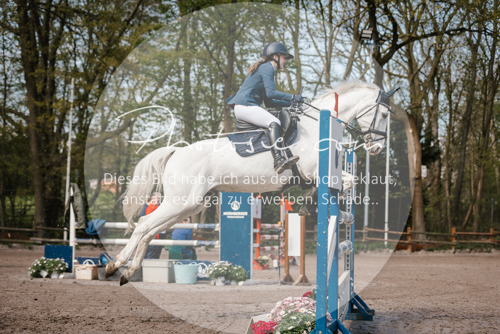 3I6A4005 | Stimmungsvolle Portraits und Reitsportfotografie im Ruhrgebiet und im Münsterland.

Pferdefotografie, Hundefotografie, Tierfotografie, Reportagen, Portraits von Tier und Mensch, Turnierfotografie in Bochum, Recklinghausen, Marl, Haltern am See, Dülmen.. - Realisiert mit Pictrs.com