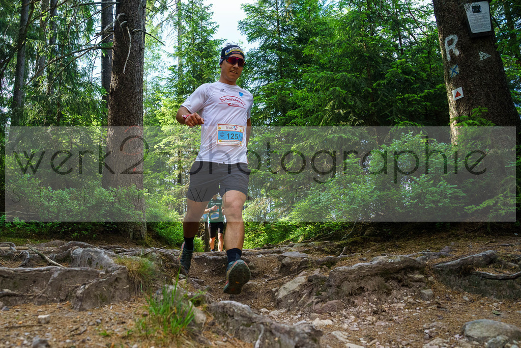 Rennsteig-Staffellauf 2023 | Rennsteig-Staffellauf - Hörschel bis Blankenstein - 17. Juni 2023