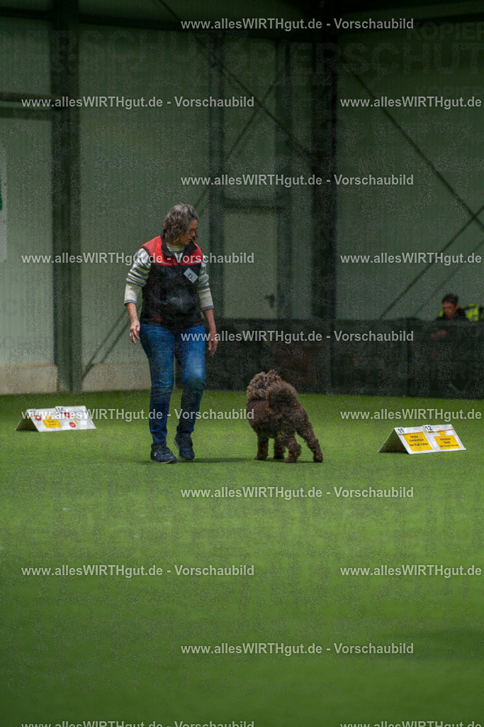 7R508355 | Professionelle Tierfotografie in Mönchengladbach von Daniel Wirth (allesWIRTHgut). Liebevolle & natürliche Bilder von Hunden & Katzen für unvergessliche Erinnerungen.