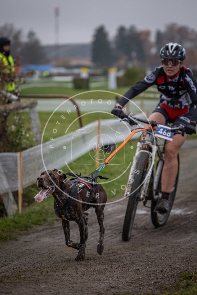 CaniXpix_0L8A1691 | Hundefotografie, Tierfotograf, Pfotenfotografie, Fotoshooting Hund, Hunde Portrait, Hundesport, Hundeportraits, Heideshooting, Hunde, Sportfotograf, Hundefotograf, Turnierhundsport, THS,  - Realisiert mit Pictrs.com