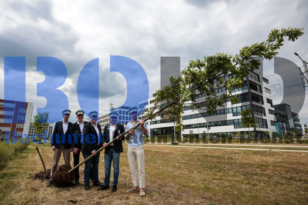 Eicheingrabung | Eicheingrabung - Realisiert mit Pictrs.com