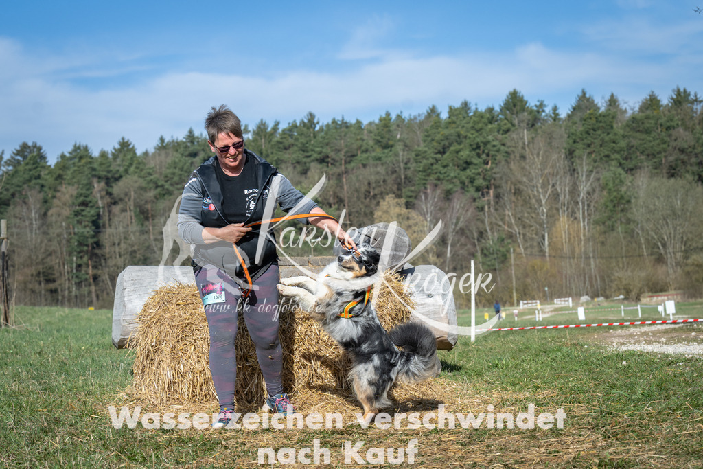 0937_ZZ94793 | kk-dogfotos