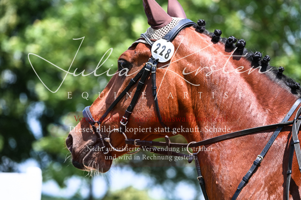 DSC_9560 | Pferde- und Turnierfotografie in Westsachsen. Pferdeportraits, Auftragszeichnungen und intuitive Kunst.