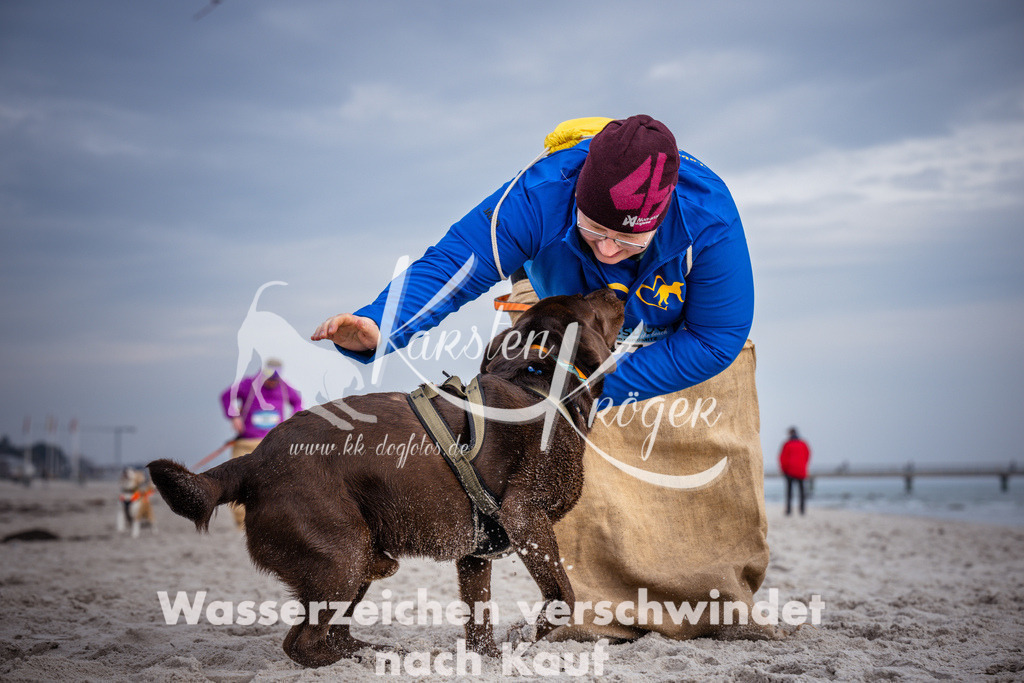 1245_ZZ95494 | kk-dogfotos